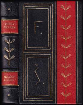 Bouřky a duhy : devatenáct próz