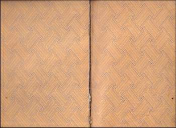 Luigi Motta: Bouřlivý proud