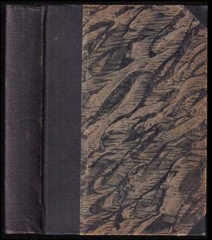 Bouřlivý život Lazika Rotschwanze