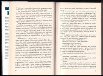 Robert Ludlum: Bourneův princip