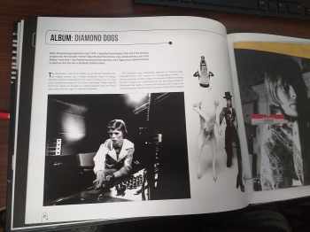 Mike Evans: Bowie Treasures (Y)