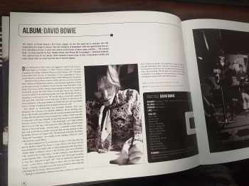 Mike Evans: Bowie Treasures (Y)