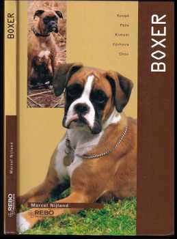 Boxer