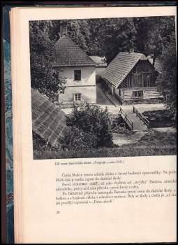 František Kubka: Božena Němcová