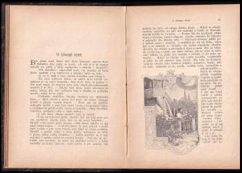 Božena Němcová: [Boženy Němcové Národní báchorky a pověsti