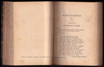 Sarah Grand: Božská dvojčátka