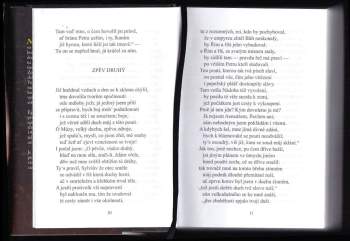 Dante Alighieri: Božská komedie