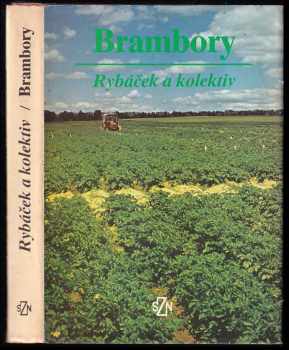Brambory