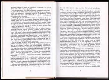 Chaim Potok: Brány listopadu