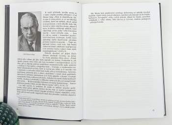 Jozef Karika: Brány meonu