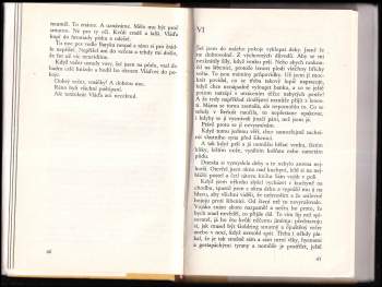 Klára Jarunková: Bratr Mlčenlivého vlka