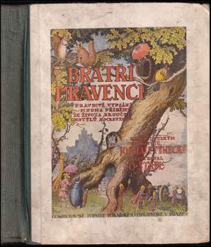 Bratří mravenci