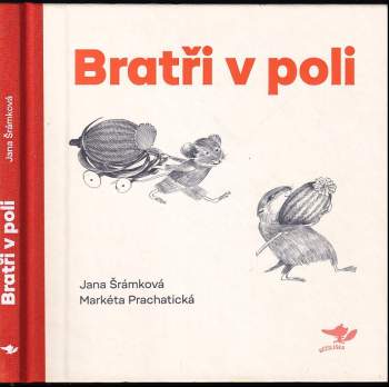 Bratři v poli