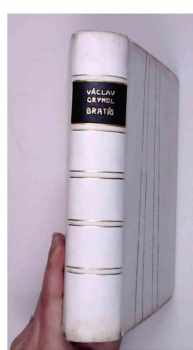 Václav Gryndl: Bratři