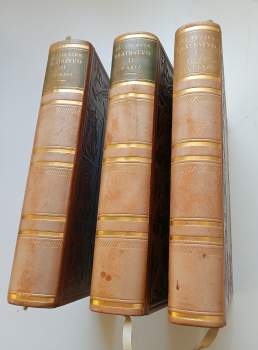 Alois Jirásek: Bratrstvo 1 - 3 - KOMPLET