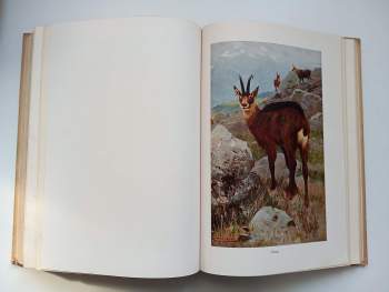 Alfred Brehm: Brehms Tierleben 1-4