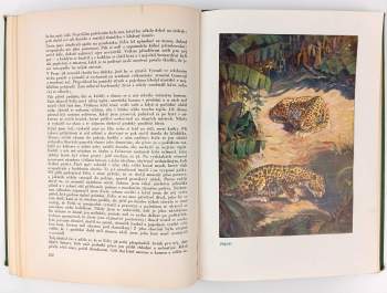Alfred Brehm: Brehmův ilustrovaný život zvířat