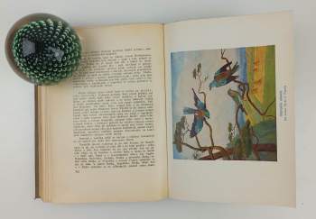 Alfred Brehm: Brehmův illustrovaný život zvířat