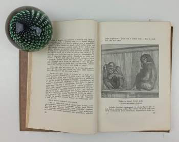 Alfred Brehm: Brehmův illustrovaný život zvířat