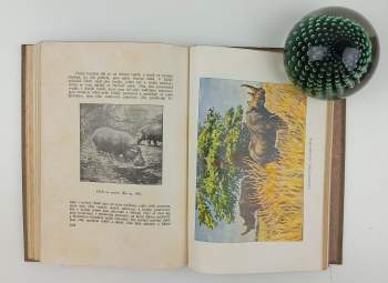 Alfred Brehm: Brehmův illustrovaný život zvířat