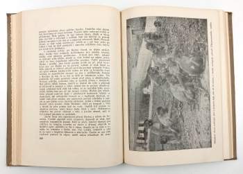 Alfred Brehm: Brehmův illustrovaný život zvířat