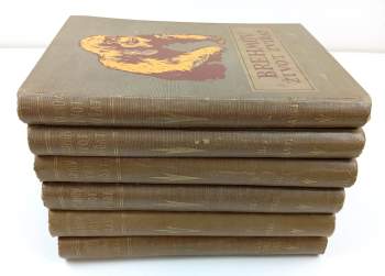 Alfred Brehm: Brehmův illustrovaný život zvířat