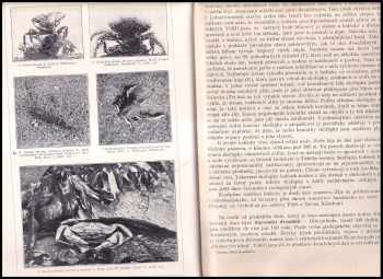 Alfred Brehm: Brehmův život zvířat - 11 svazků - KOMPLET - I. Bezobratlí + II. Ryby, obojživelníci, plazi + III. Ptáci + IV. Savci