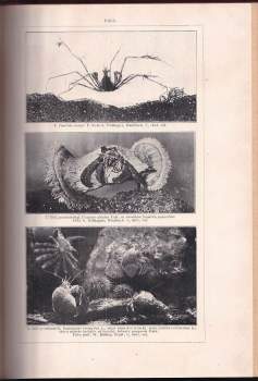 Alfred Brehm: Brehmův život zvířat