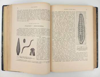 Alfred Brehm: Brehmův život zvířat