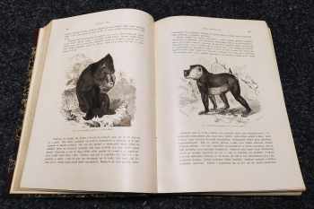 Alfred Brehm: Brehmův Život zvířat - Díl 1, Ssavci svazek první a druhý + Díl 2. Ptáci svazek první a druhý + Díl 3. Plazi, obojživelníci a ryby + Díl 4. Členovci, červi, měkkýšovití, měkkýši, ostnokožci, láčkovci a prvoci