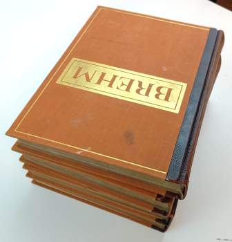 Alfred Brehm: Brehmův život zvířat