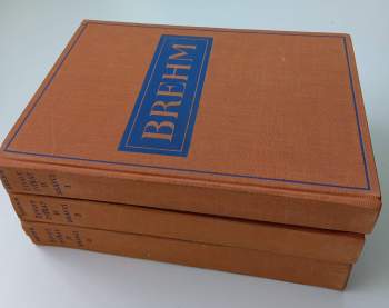 Alfred Brehm: Brehmův život zvířat
