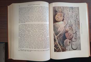 Alfred Brehm: Brehmův život zvířat I. díl Bezobratlí I. +  Ryby, Obojživelníci, Plazi (2 svazky) + III. Ptáci (4 svazky) + IV. Ssavci (4 svazky)