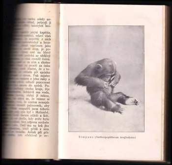Alfred Brehm: Brehmův život zvířat KOMPLET 32 DÍLŮ V 16 SVAZCÍCH - Svazky - Ssavci I - VII + Ptáci I - VII + Plazi + Ryby