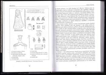Patrick Galliou: Bretonci