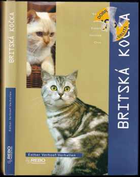 Britská kočka