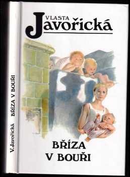 Bříza v bouři