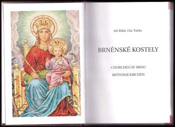 Jiří Bílek: Brněnské kostely