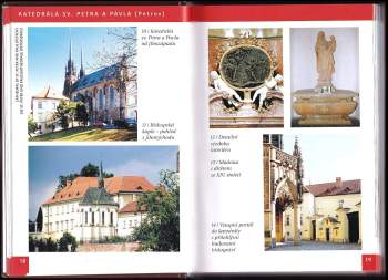 Jiří Bílek: Brněnské kostely