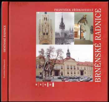 František Zřídkaveselý: Brněnské radnice