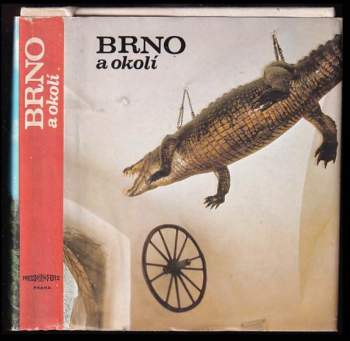 Brno a okolí