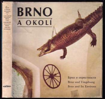 Brno a okolí