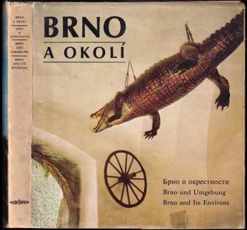 Dalibor Kusák: Brno a okolí