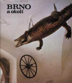 Brno a okolí