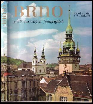Miloš Budík: Brno