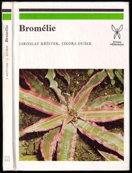 Bromélie