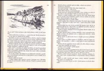 Eduard Štorch: Bronzový poklad