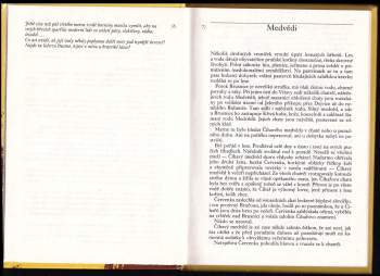 Eduard Štorch: Bronzový poklad