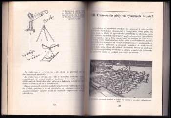 Gustáv Čejka: Broskyne