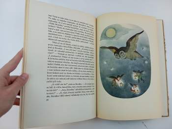 Jan Karafiát: Broučci